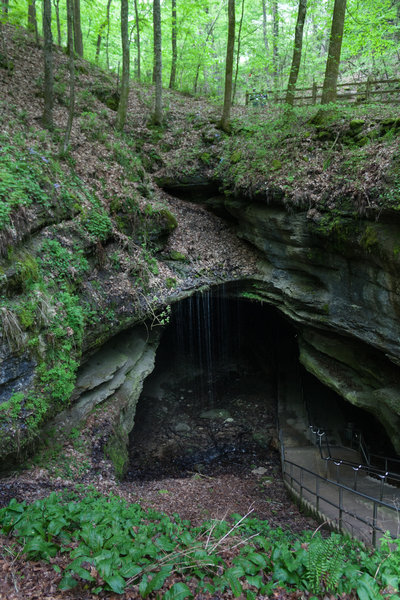 Mammoth Cave National Park