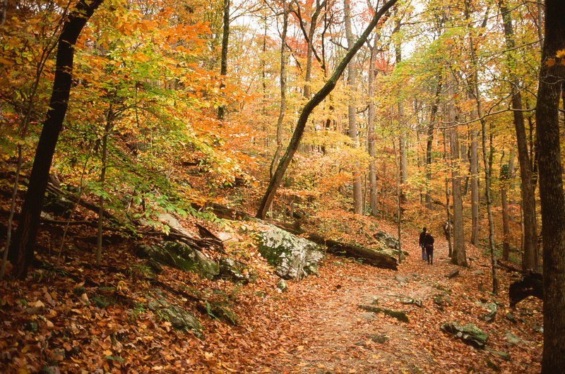 Mammoth Cave National Park