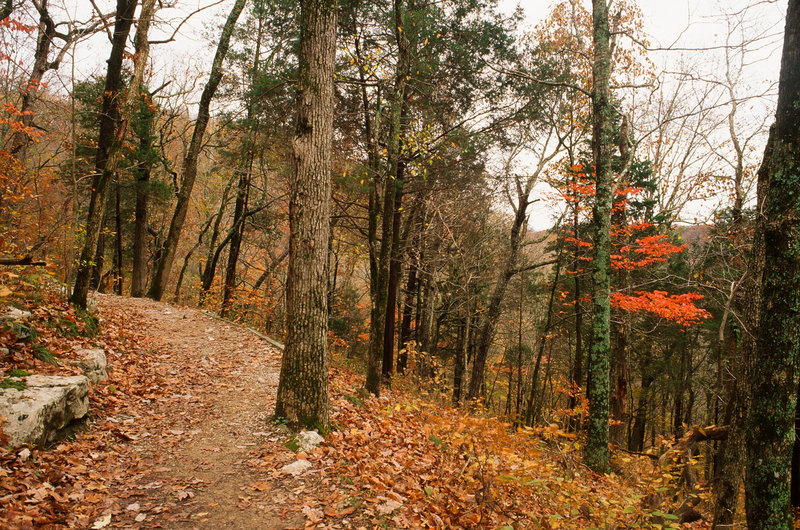 Mammoth Cave National Park