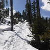 About a quarter mile in from the trailhead, in late March.