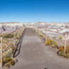 Petrified Forest National Park