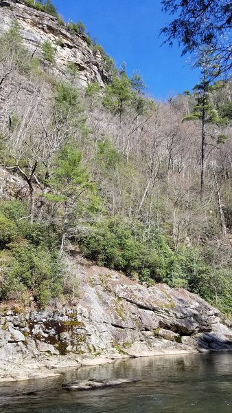 Looking up at the gorge rim from Linville River near Bynum Falls