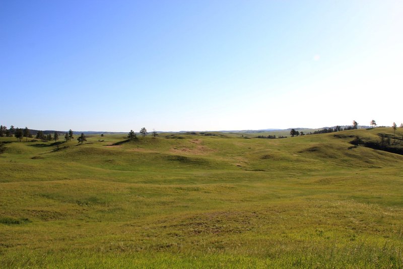 All you see is Wind Cave National Park
