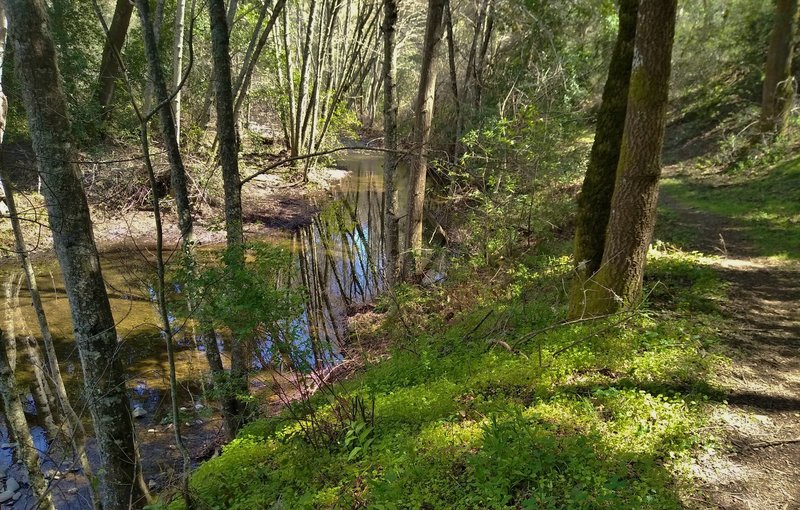 Smith Creek is a pretty little creek in the Joseph D. Grant County Park backcountry. It is visited by Smith Creek Trail.