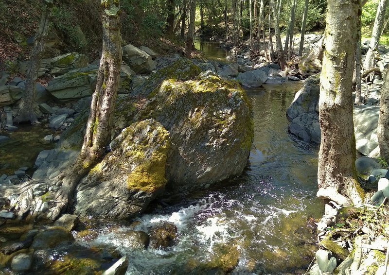 Smith Creek at the end of Smith Creek Trail.