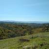 Several creeks start high in the hills around Manzanita Trail. One of these creeks in its wooded valley, is on the left.  In the distance to the southwest are the blue Santa Cruz Mountains.