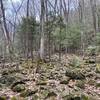 Blue Trail along Hop Brook