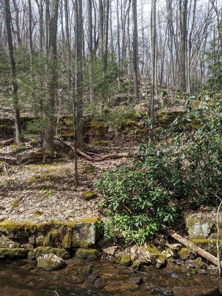 Looking uphill from the stream crossing.