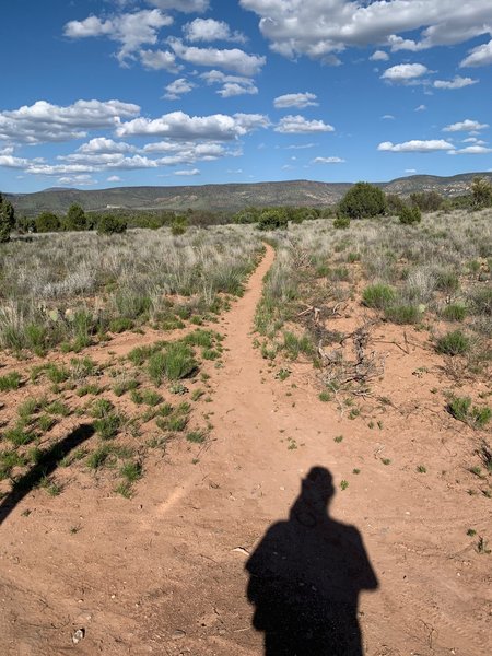 West side of trail, just leaving Sunset Loop Trail