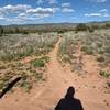 West side of trail, just leaving Sunset Loop Trail