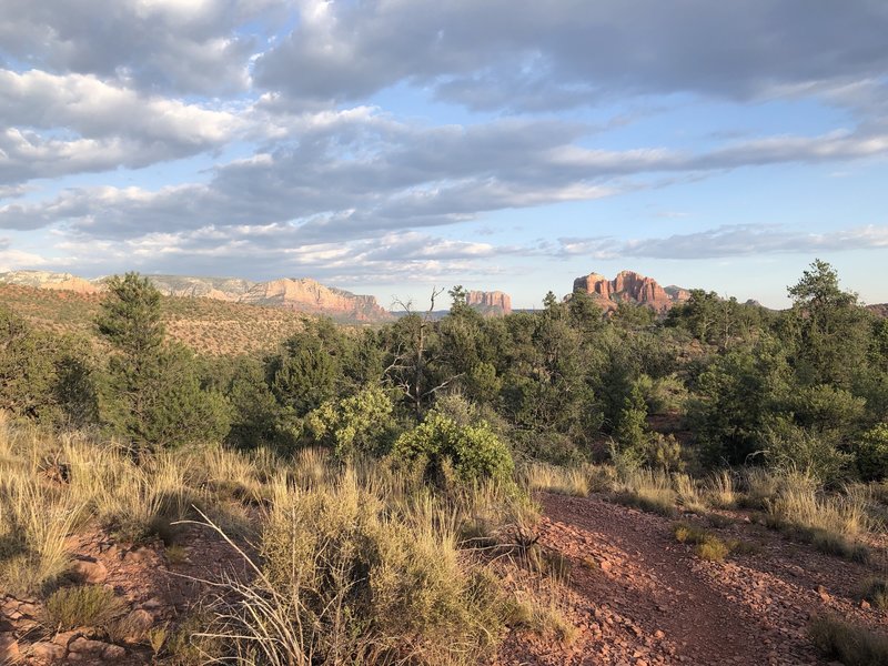 Was a little tricky in parts knowing where the trail was -- but thankfully it was easy enough to see it ahead, to improvise if/when you end up off it for a turn here and there!  Not my normal terrain, but absolutely gorgeous and comfortable for a run!