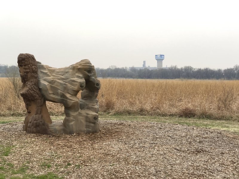 one of the things for kids to play on around this hike