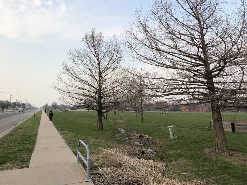 Part of the perimeter walk around King Park.  There were a lot of people out today.