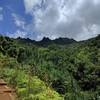 Nāpali Coast