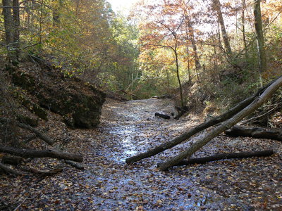 Clifty Falls State Park
