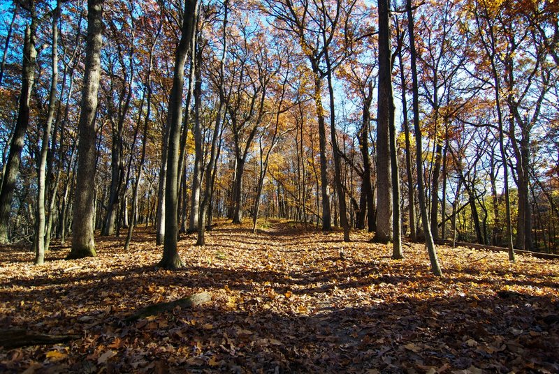 Starved Rock State Park