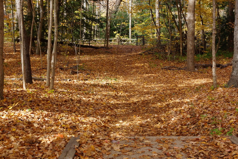 Turkey Run State Park