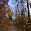 Turkey Run State Park