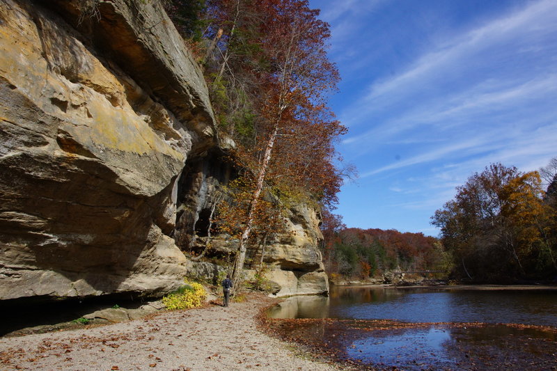 Turkey Run State Park