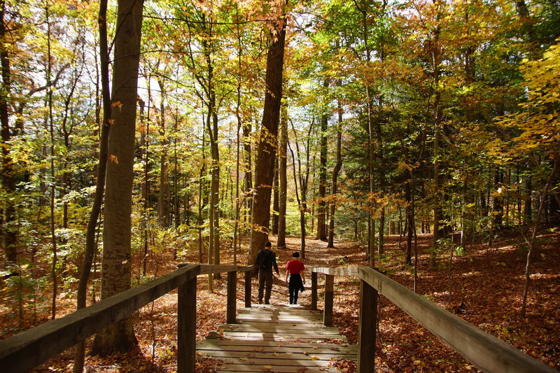 Turkey Run State Park