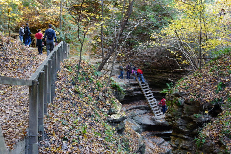 Turkey Run State Park