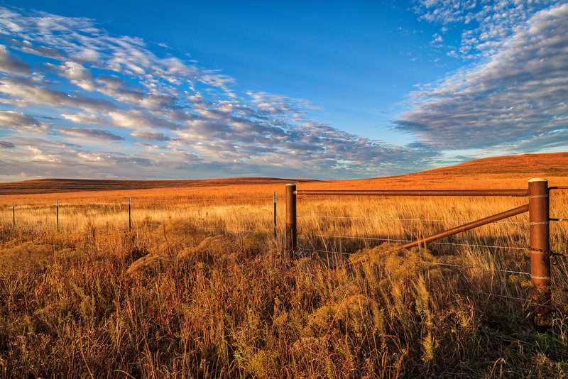 U.S. Route 50 Tallgrass Morning