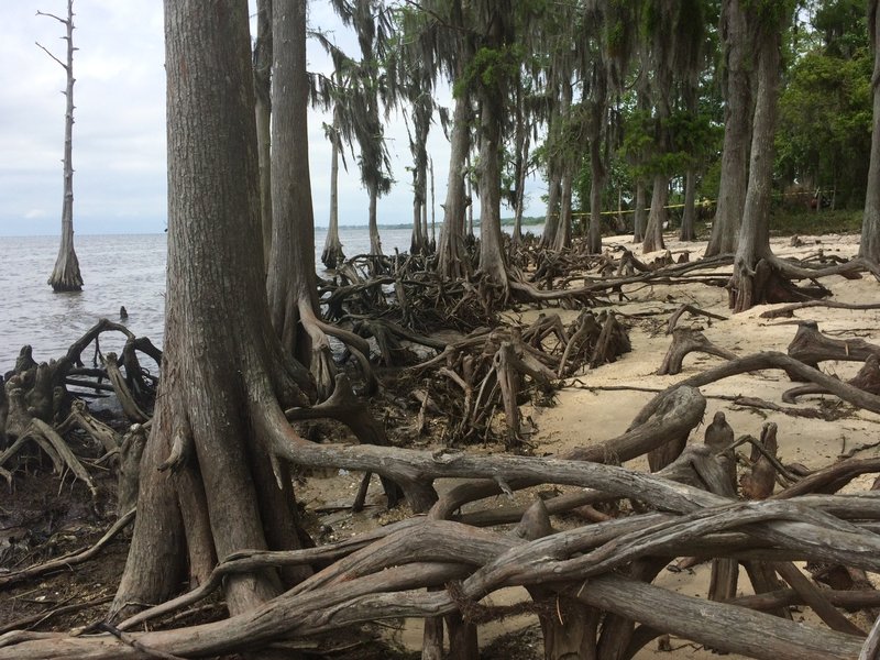 Louisiana lake beach