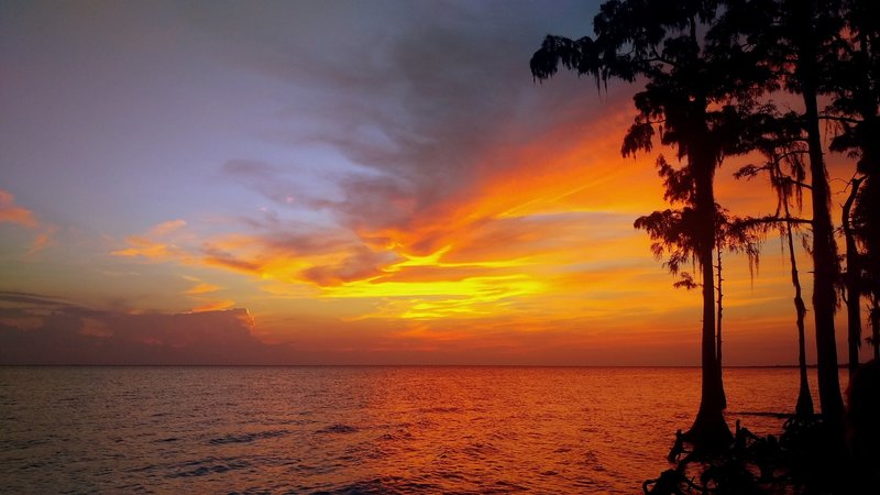 Fontainebleau State Park