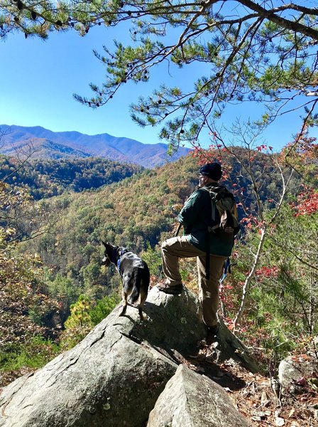 View from Bear Pen Gap