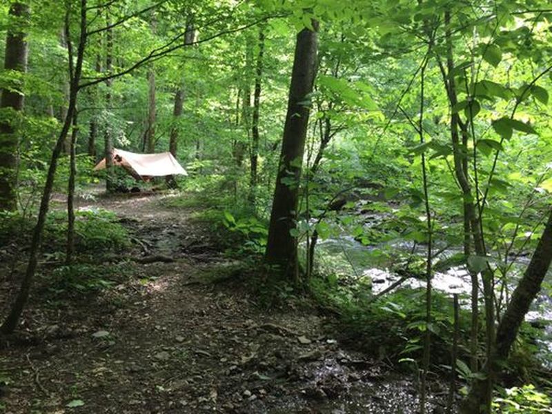 Solitude on the Benton MacKaye Trail in the Slickrock Wilderness Area