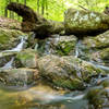 Cascade Falls Trail, Patapsco Valley State Park, Elkridge, Maryland (USA)