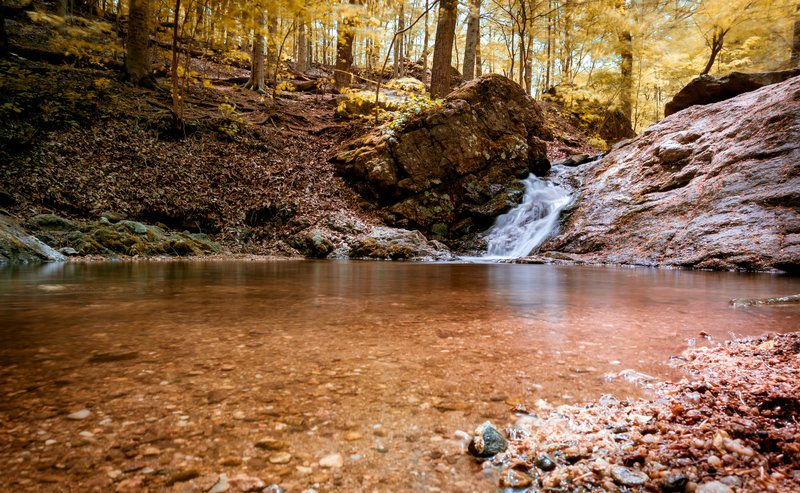 Cascade Falls Trail, Patapsco Valley State Park, Elkridge, Maryland (USA)