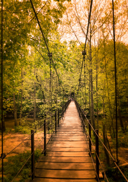 Cascade Falls Trail, Patapsco Valley State Park, Elkridge, Maryland (USA) - April 2017