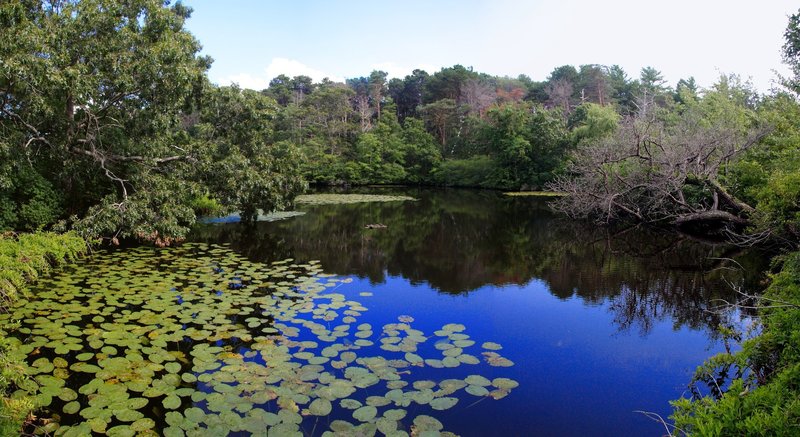 Silver Spring, Wellfleet Bay Wildlife Sanctuary