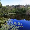 Silver Spring, Wellfleet Bay Wildlife Sanctuary