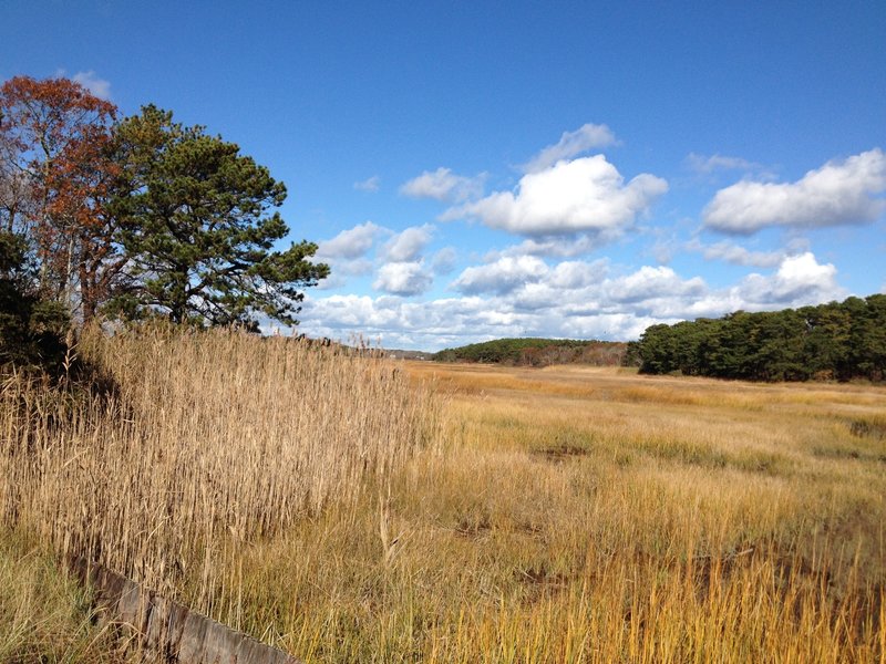 Wellfleet Bay Wildlife Sanctuary