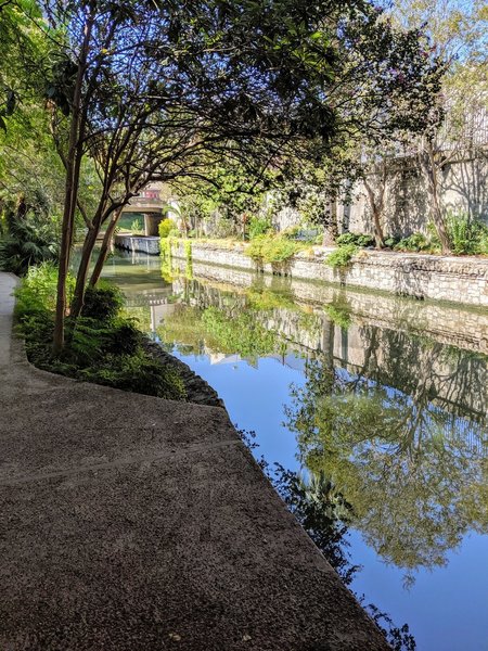 Tree Reflection