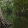 waterway - cibolo creek, boerne, tx