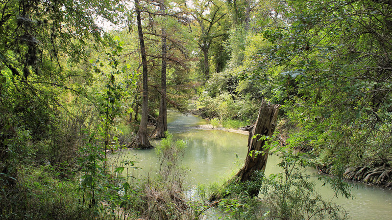 The Medina River at Medina River Natural Area, San Antonio, Texas United States.