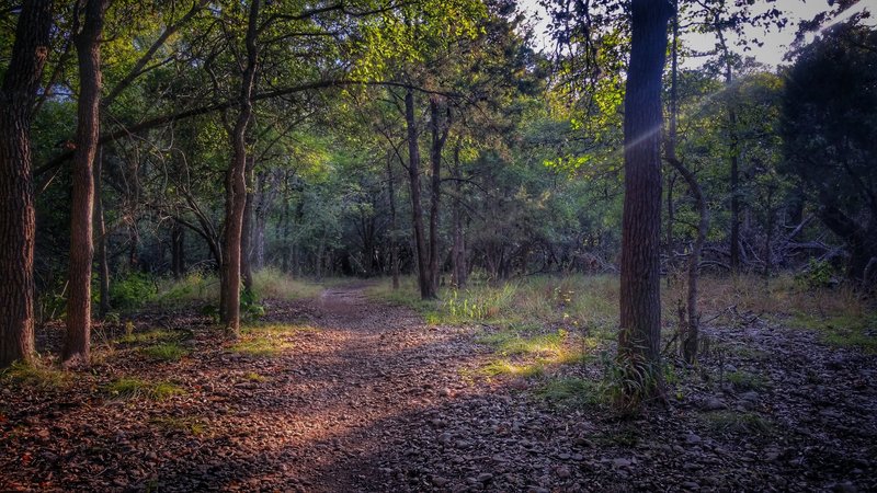 An enchanting hike