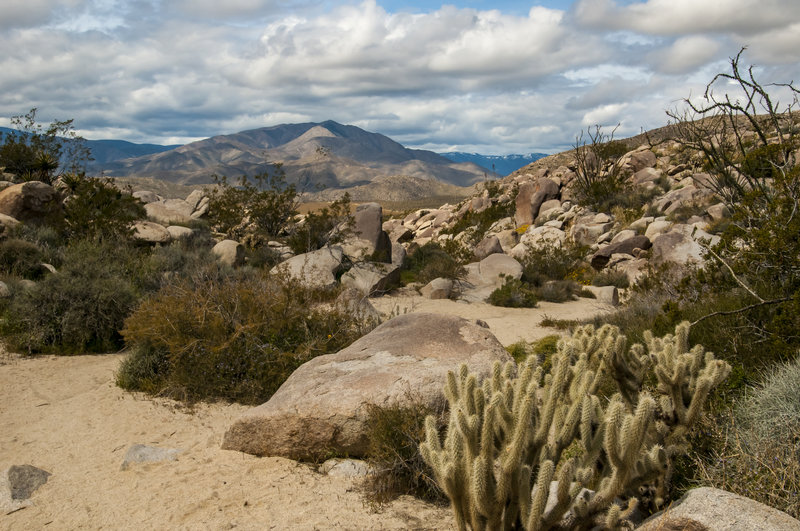 Typical view along the trail as you get up into the canyon where the pictographs are.