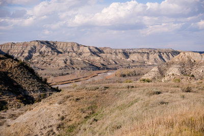 Little Missouri River Woodland, Theodore Roosevelt National Park