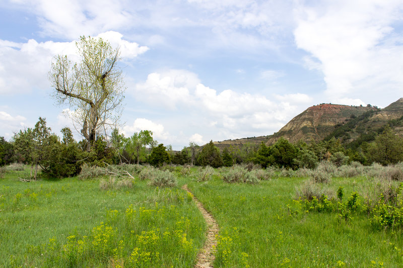 Hiking in Theodore Roosevelt National Park, North Dakota