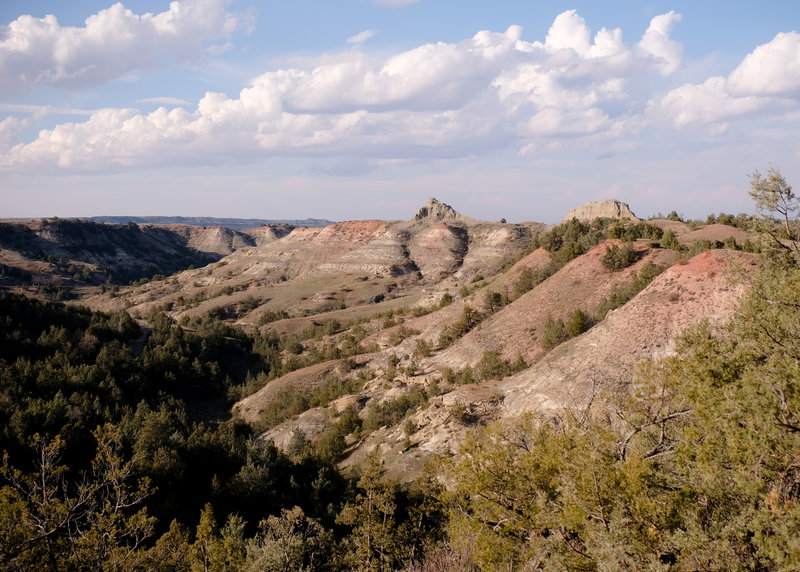 Theodore Roosevelt National Park