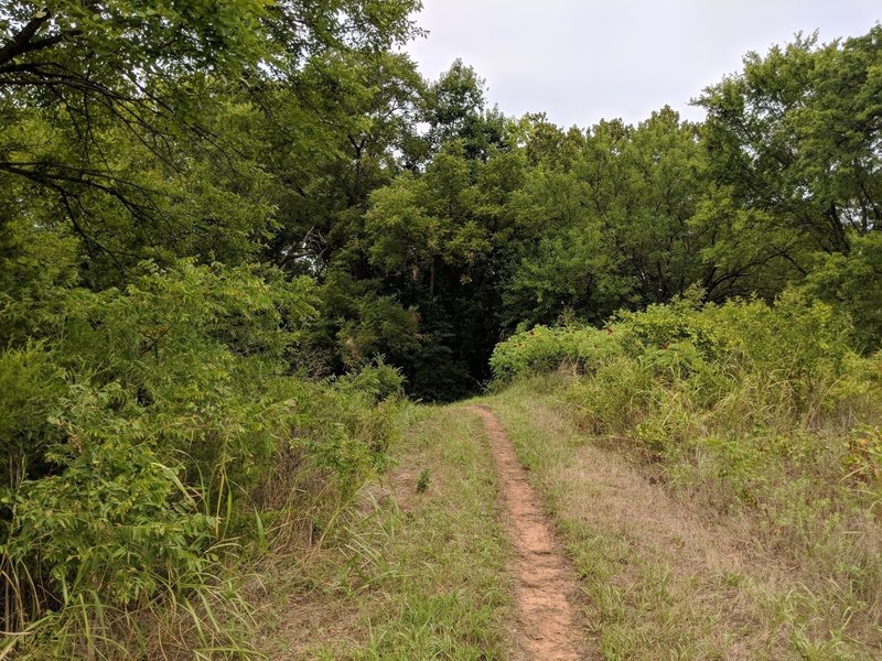 The trails have a nice blend of deep shady forest and open prairie vistas.