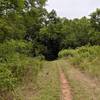 The trails have a nice blend of deep shady forest and open prairie vistas.