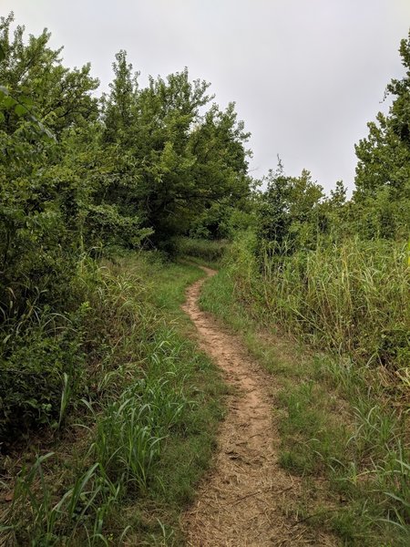 Some very nice singletrack covers most of these trails. Note the side mowing operation which makes the trails  a little easier.