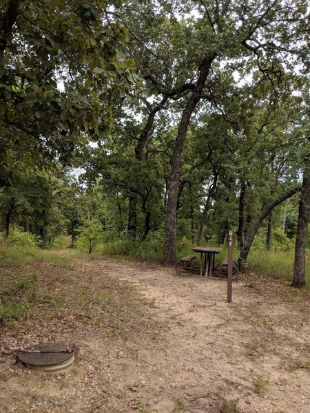 The beginning of Trail 4. Complete with picnic table....