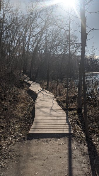 One of many boarded pathways alongside the lake