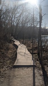 One of many boarded pathways alongside the lake